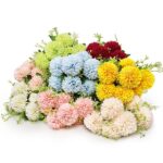 Pom Pom Flowers