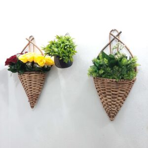 Cheap hanging plants for sale in Lagos