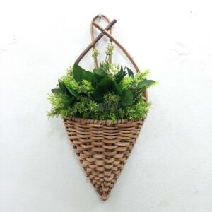 Cheap hanging plants for sale in Lagos