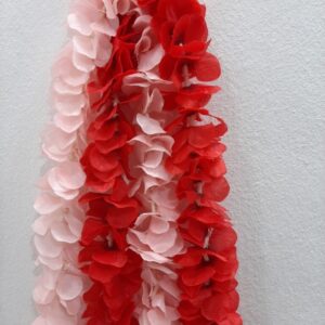 Best wall plant store in Lagos, Nigeria