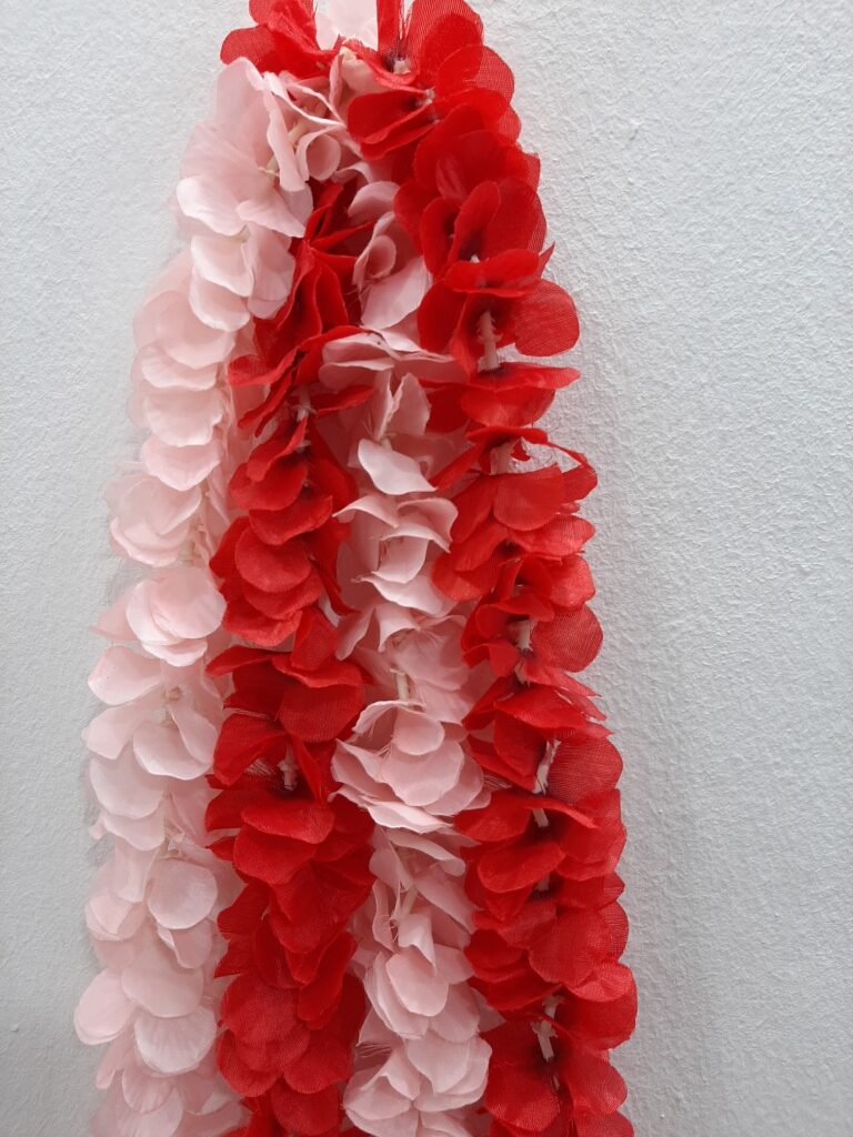 Best wall plant store in Lagos, Nigeria
