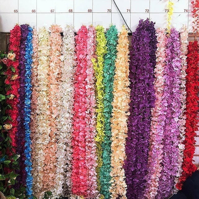 Best wall plant store in Lagos, Nigeria