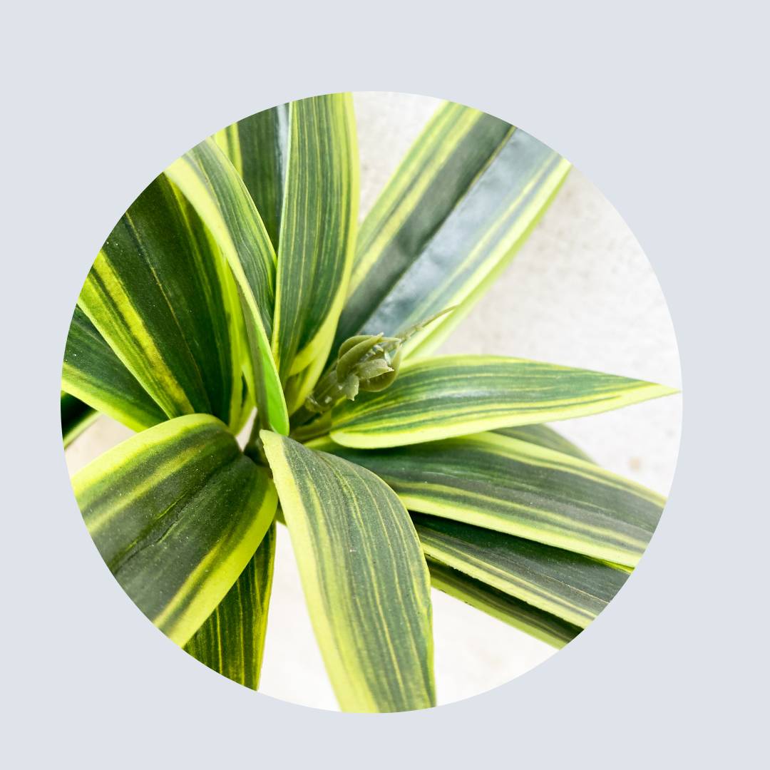 Buy potted artificial plants in Lagos